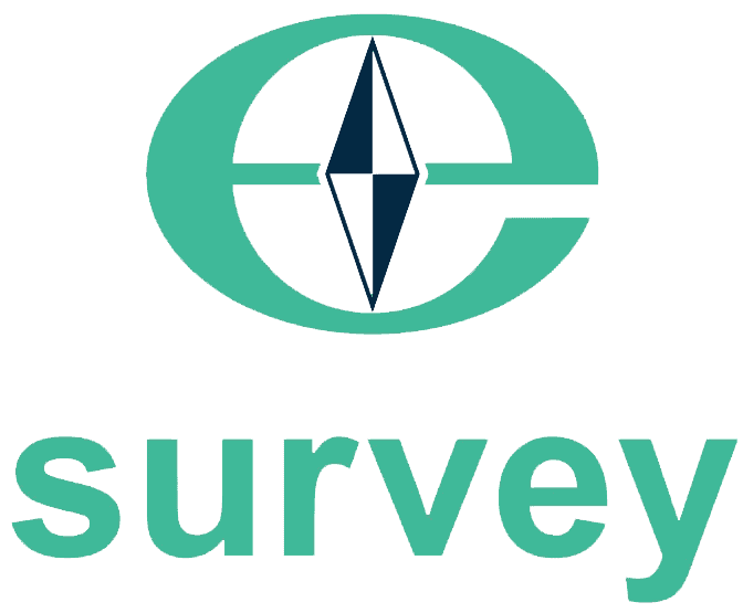 e-survey_lime-e1746236643655